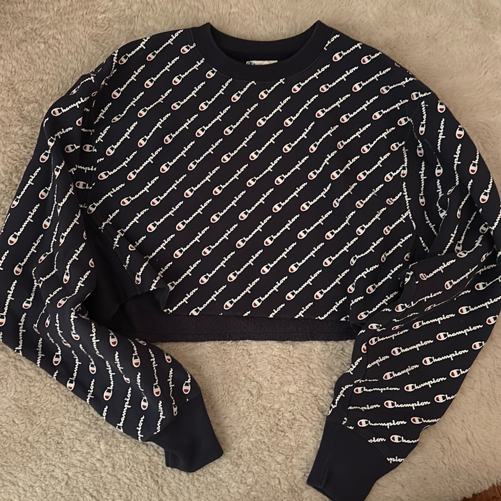 Champion crop top sweatshirt